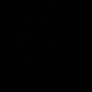 Meet your Posher, Breanna